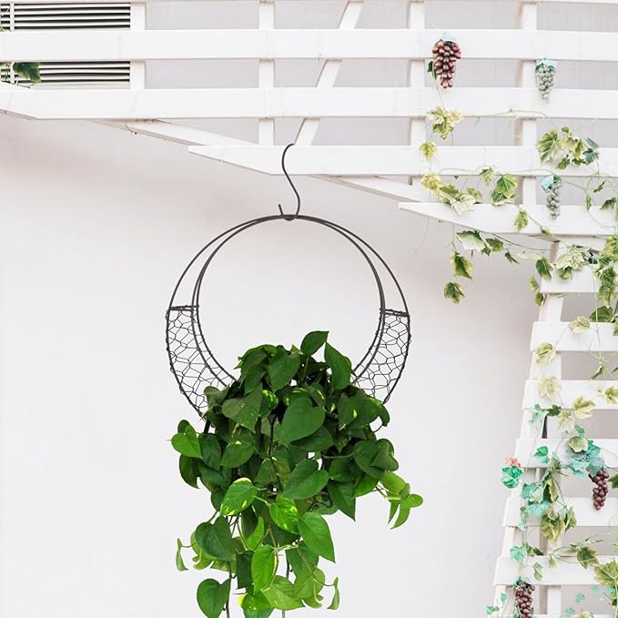 Air Plants Holders Wire Wreath Frame Hanger, 11 inch Moon Shape Wreath Form Hanging Plant Holder Metal Hanging Orchid Planter Plant Basket Holder, Succulent Wire Wreath Frame with Hook (Pack of 2)