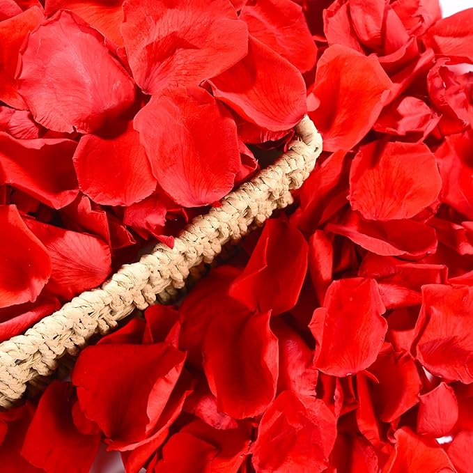 230 PCS Red Dired Rose Petals 2.1oz/60g Natural Real Rose Flower Petals for Wedding Aisle, Flower Girl Basket, Will You Marry Me, Valentines Day, Romantic Night, Proposal, Anniversary, Special Night