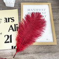 Happy Feather 16- Wine Rde Ostrich Feathers Craft for Wedding, 18 Inch