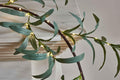 Lighted Artificial Garland 96 LED Fairy Lights Battery, 6FT – Olive