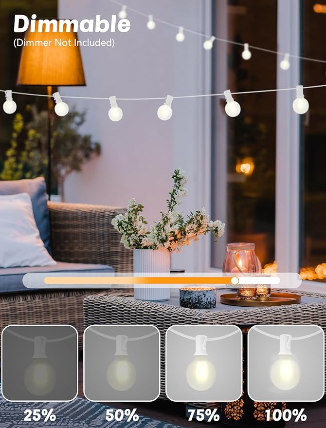 Indoor String Lights, 50 FT Frosted White G40 LED Bulbs