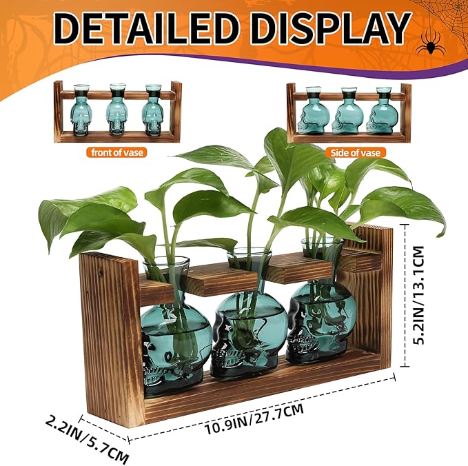 Terrarium Set: Skull Borosilicate Glass Vases, Set of 3 with Wood Stand