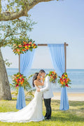 2 Panels Chiffon Curtains Sheer Backdrop Drape Beach Curtain, 29"x108"