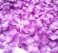 Silk Rose Petals, 2200 PCS – Light Purple, Lavender Petals Lilac Petals