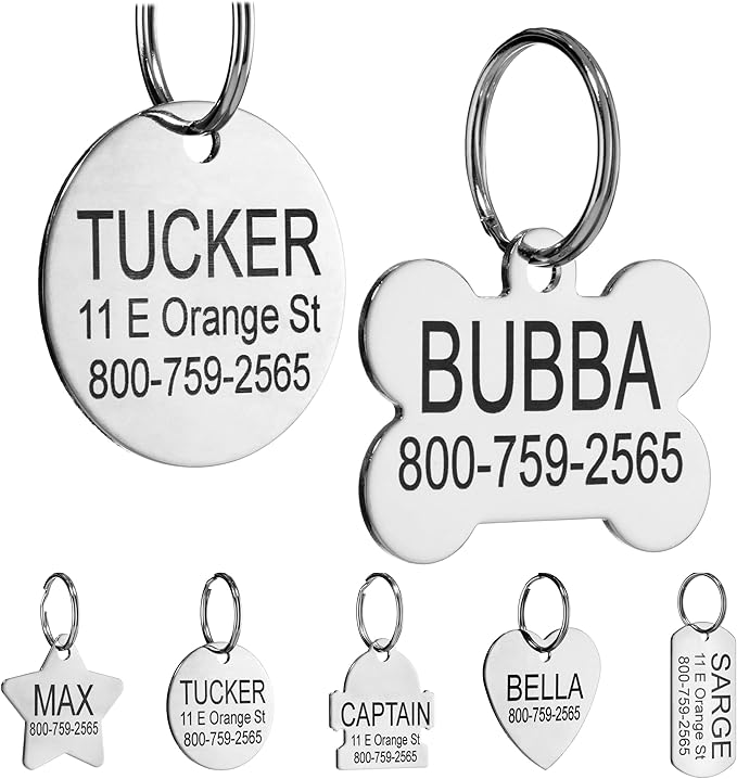 Providence Engraving Custom Engraved Stainless Steel Pet ID Tags - Personalized Front and Back Identification, for Large or Small Cats and Dogs, Bone, Regular