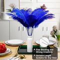 Ostrich Feather – Royal Blue, 20pcs Making Kit 22 Inch Large Ostrich