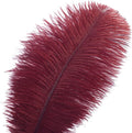 Large Ostrich Feathers – Burgundy, 12Pcs 14-16inch Large Wine Red