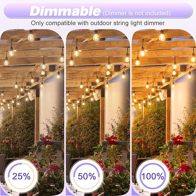 LED S14 Replacement Bulbs for String Lights, Warm White, E26 Base