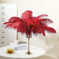 Large Ostrich Feathers – Red, 10pcs 16-18 Inch Feathers