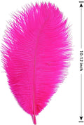 Ostrich Feathers Natural Bulk 10-12Inch 25cm-30cm, 24pcs – Hot Pink