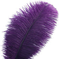 Ostrich Feathers Bulk – Purple, 24Pcs 10-12inch Feathers for Vase