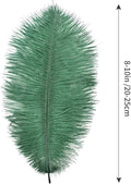 Blackish Ostrich Feathers Natural Bulk 8-10Inch 20cm-25cm, 24pcs – Green