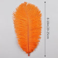 Ostrich Feathers Natural Bulk 8-10Inch 20cm-25cm, 24pcs – Orange