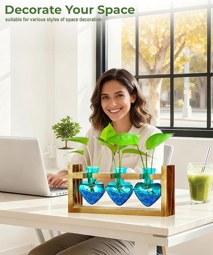 Terrarium Set with Wood Stand, 3 Glass Bulb Vases, Blue Stone