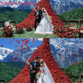 Silk Rose Petals for Romantic Night, 2200 PCS – Dark-Red, Proposal, Wedding