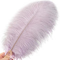 Ostrich Feathers Bulk – Lavender, 24Pcs 12-14inch Light Purple Feathers