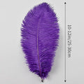 Ostrich Feathers Natural Bulk 10-12Inch 25cm-30cm, 24pcs – Purple