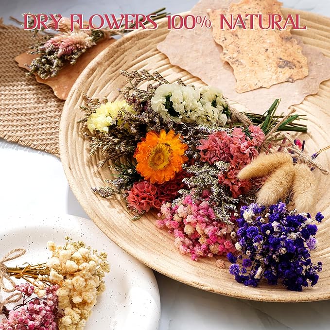 10/12/24/36 Pack Mini Dried Flowers for Vase Wedding Various Mini Bouquet Dried Small Wildflowers Natural Flowers Bulk for Crafts DIY Decor (10, Classic Color2)