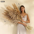 12 Stems Tall Pampas Grass Decor, 46 inch, Large Fluffy Dried Pompas