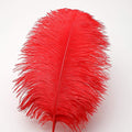 Bright Red Ostrich Feathers 12-14inch (30-35cm), 12pcs – Natural