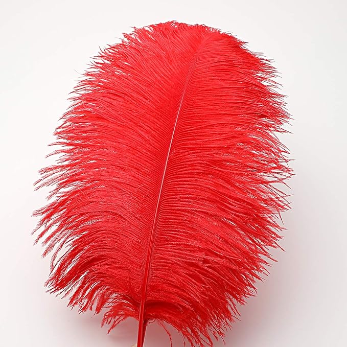 Ballinger Red Ostrich Feathers Bulk - 24Pcs 12-14inch Large Ostrich Feathers for Vase,Party Centerpieces,Wedding and Home Decor