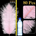 Large Ostrich Feathers Plumes 14-16 Inch Bulk for DIY, 80 Pcs – Natural