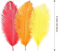 Orange Yellow Ostrich Feathers Natural Bulk 8-10Inch, 12pcs – Red