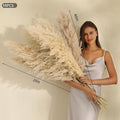 10 Stems Tall Pampas Grass Decor, 46 inch, Large Fluffy Dried Pompas