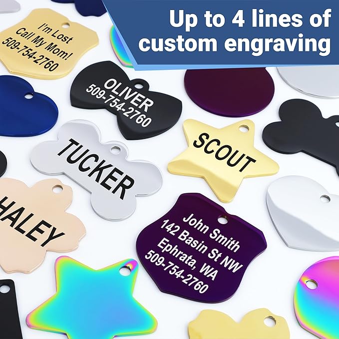 GoTags Stainless Steel Pet ID Tags, Personalized Dog Tags and Cat Tags, up to 8 Lines of Custom Text, Engraved on Both Sides, in Bone, Round, Heart, Bowtie and More (Round, Small (Pack of 1))