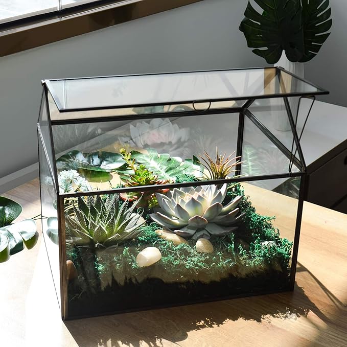 Black 1 Large Glass Plant Terrarium Kit with Lip Greenhouse for Succulents