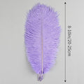 Ostrich Feathers Natural Bulk 8-10Inch 20cm-25cm, 12pcs – Lavender