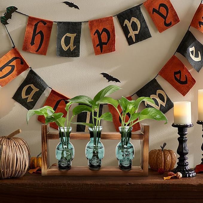 Terrarium Set: Skull Borosilicate Glass Vases, Set of 3 with Wood Stand