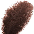 Big Ostrich Feathers – Brown, 24pcs 8-10inch Craft Feathers for Party