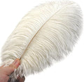 Ostrich Feathers Bulk – Beige, 24pcs 8-10inch Cream Feathers