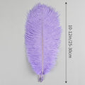 Ostrich Feathers Natural Bulk 10-12Inch 25cm-30cm, 24pcs – Lavender