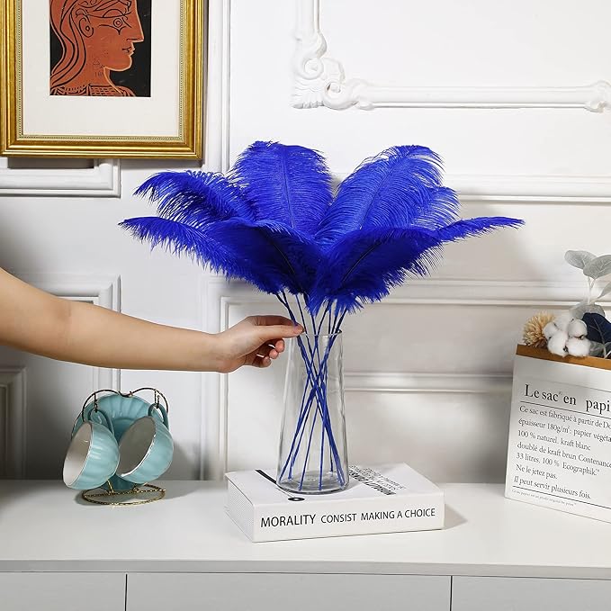 Holmgren Royal Blue Ostrich Feather - 20pcs Making Kit 22 Inch Large Ostrich Feathers for Vase, Floral Arrangement, Wedding Party Centerpieces Home Decorations (Royal Blue)