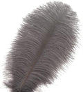 Gray Ostrich Feathers – Natural, 24pcs 10-12inch for Wedding Party