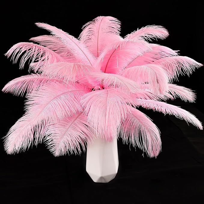 THARAHT Pink Ostrich Feathers 12pcs Natural Bulk 10-12Inch 25cm-30cm for Crafts Wedding Party Centerpieces Easter Gatsbi and Home Decoration Feathers