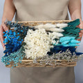 DIY Dried Flower Set – Natural