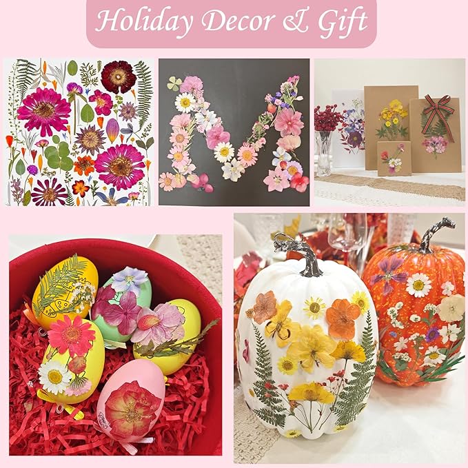 80 Pcs Dried Pressed Flowers for Crafts, Real Natural Dried Pressed Flowers in Vibrant Multicolor Tones for Resin, DIY Art, Jewelry, Candle & Soap Making – Tweezers Included