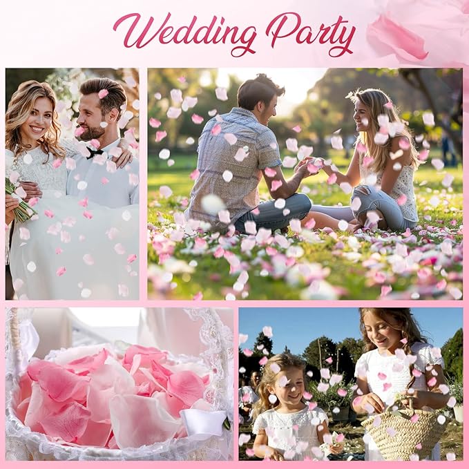 300 PCS Real Pink White Rose Flower Petals Confetti for Wedding Flower Girl to Throw, 2.82oz Freeze Dried Rose Petal for Proposal Centerpieces Romantic Night Decor
