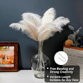 Ostrich Feathers Bulk – Beige, 20pcs Making Kit 22 Inch Boho Ostrich