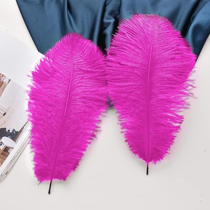 Ballinger Fuchsia Large Ostrich Feathers - 24pcs 12-14inch Hot Pink Feathers for Party Centerpieces, Flower Arrangement and Home Decor