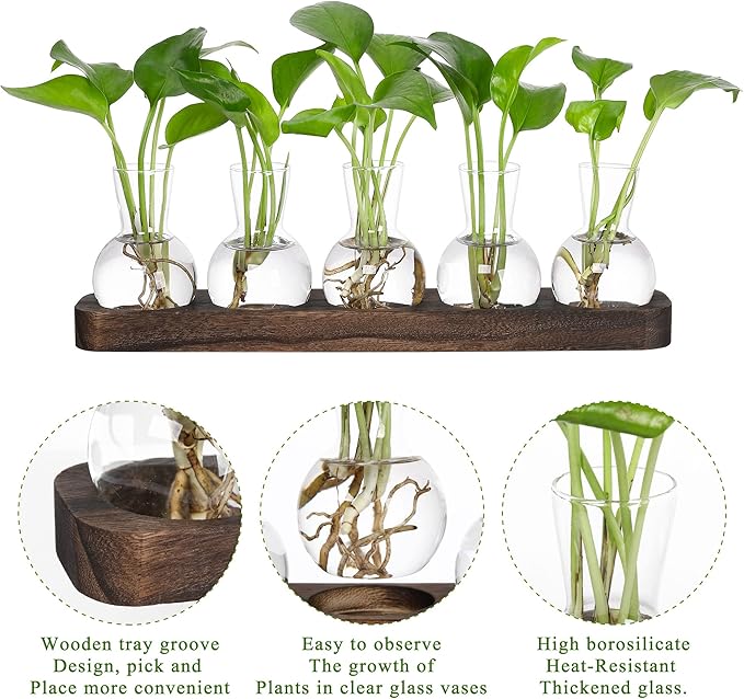 YIBOT Plant Propagation Stations,Glass Propagation Vases for Plants Terrarium with Wooden Tray Plant Lover Gifts for Propagating Hydroponic Plants Home Office Decor(5 Vase)