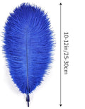 Ostrich Feathers Natural Bulk 10-12Inch 25cm-30cm, 24pcs – Blue