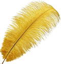 Happy Feather 16- Ostrich Feathers Craft for Wedding Party, 18 Inch – Gold