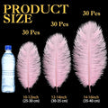 Large Ostrich Feathers Bulk 14-16 Inch (35-40cm), 90 Pcs – Natural