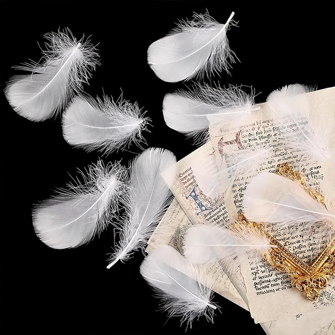 THARAHT 360pcs White Feathers 3-5 inch Craft Feathers Assorted Rainbow Colors Feathers for Kids for DIY Handmade Wedding Home Party Decorations Natural Feather