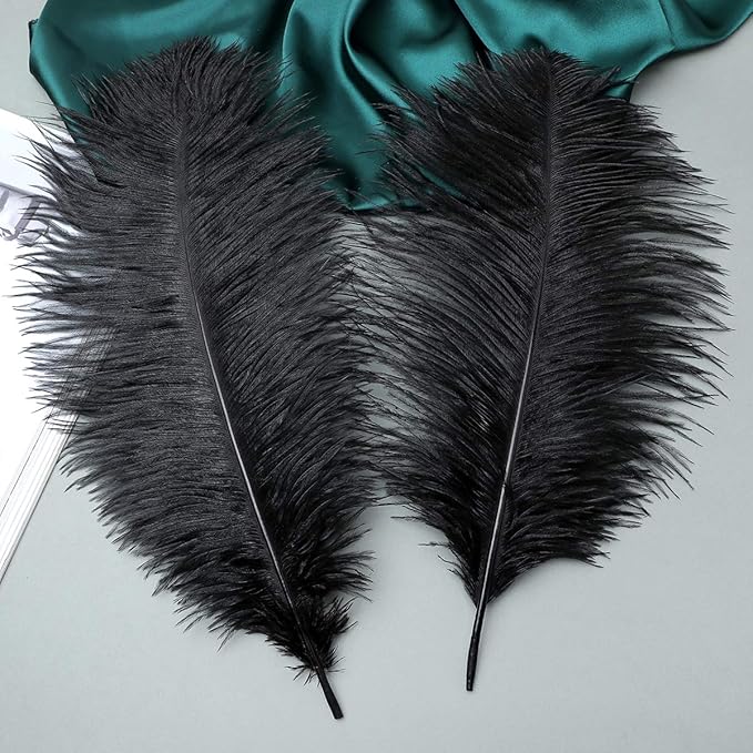 Ballinger Black Ostrich Feathers Bulk - 24Pcs 8-10inch Feathers for Crafts,Gatsby and Halloween Party Centerpieces