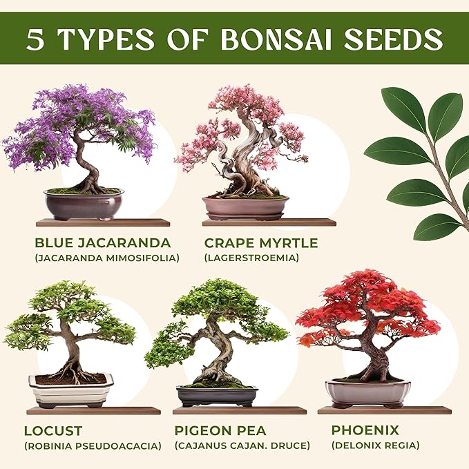 AVERGO Bonsai Tree Kit for Beginners – 5X Unique Japanese Bonzai Trees | Complete Indoor Starter Kit for Growing Bonsai Plants with Tools & Planters – Gardening Gifts for Women & Men
